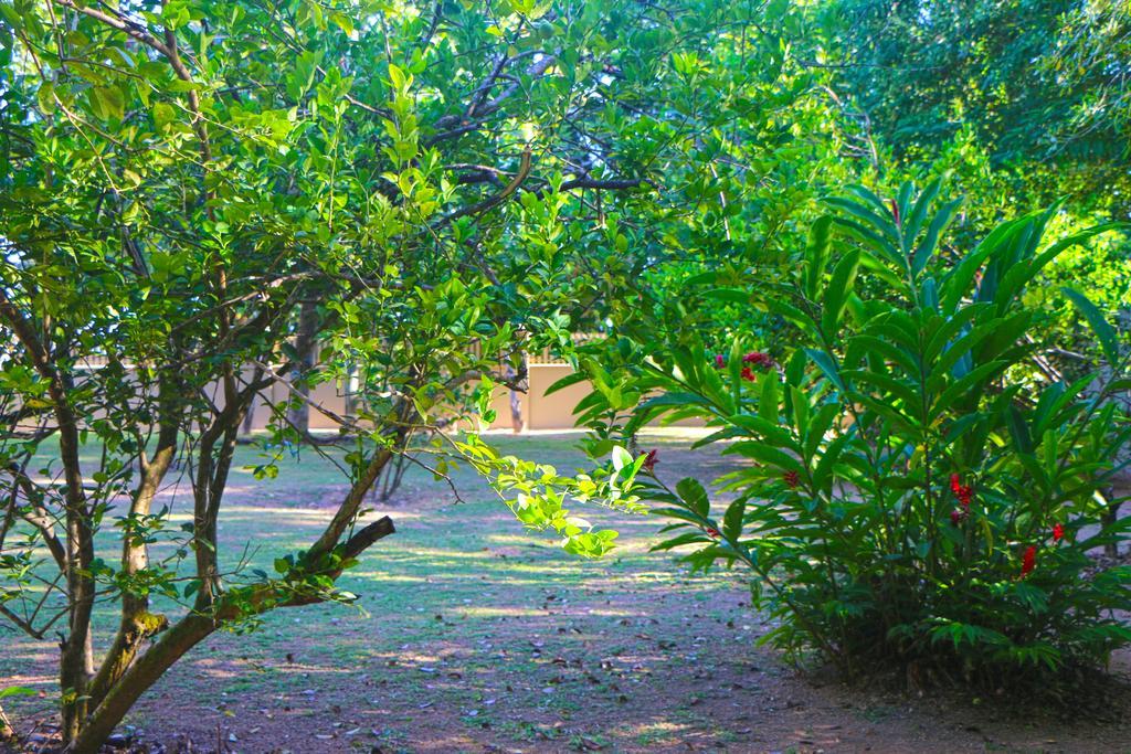 Villa Saint Sauveur Baie Sainte Anne Exteriér fotografie